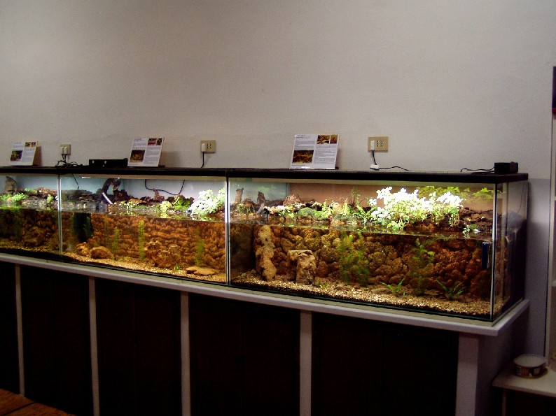 I Terracquari del Centro di Entomologia - Piombino (LI)